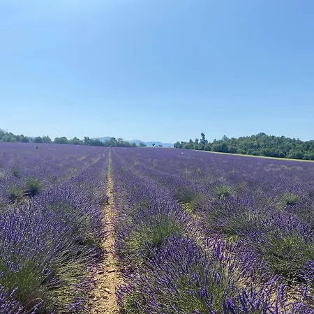 Neuf Bas De Gorges Du Verdon A Riez